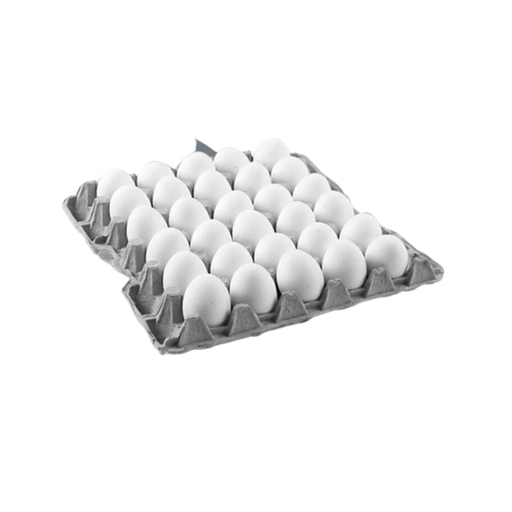 Egg 15 pcs - Zoom Alqamar