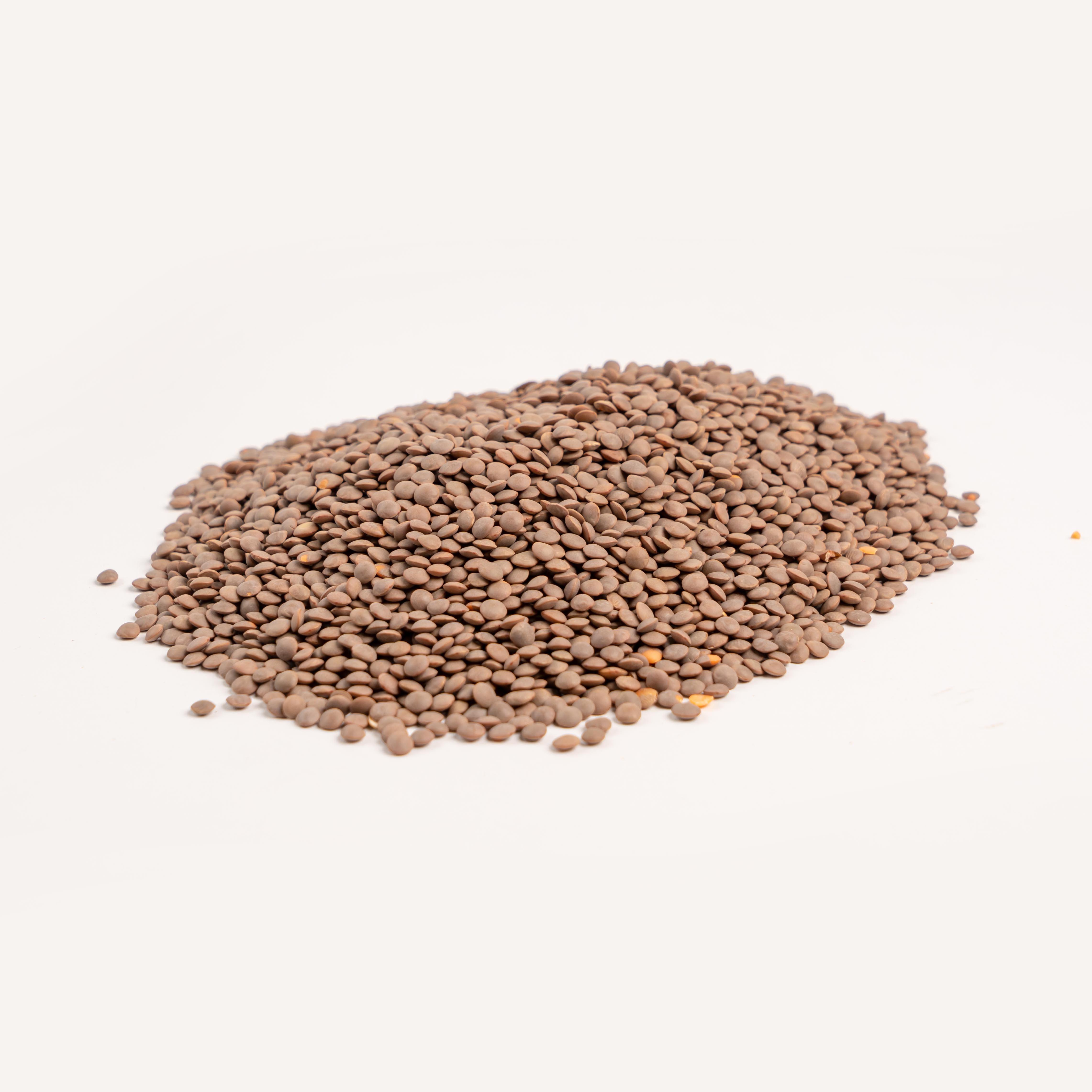 Black Lentils