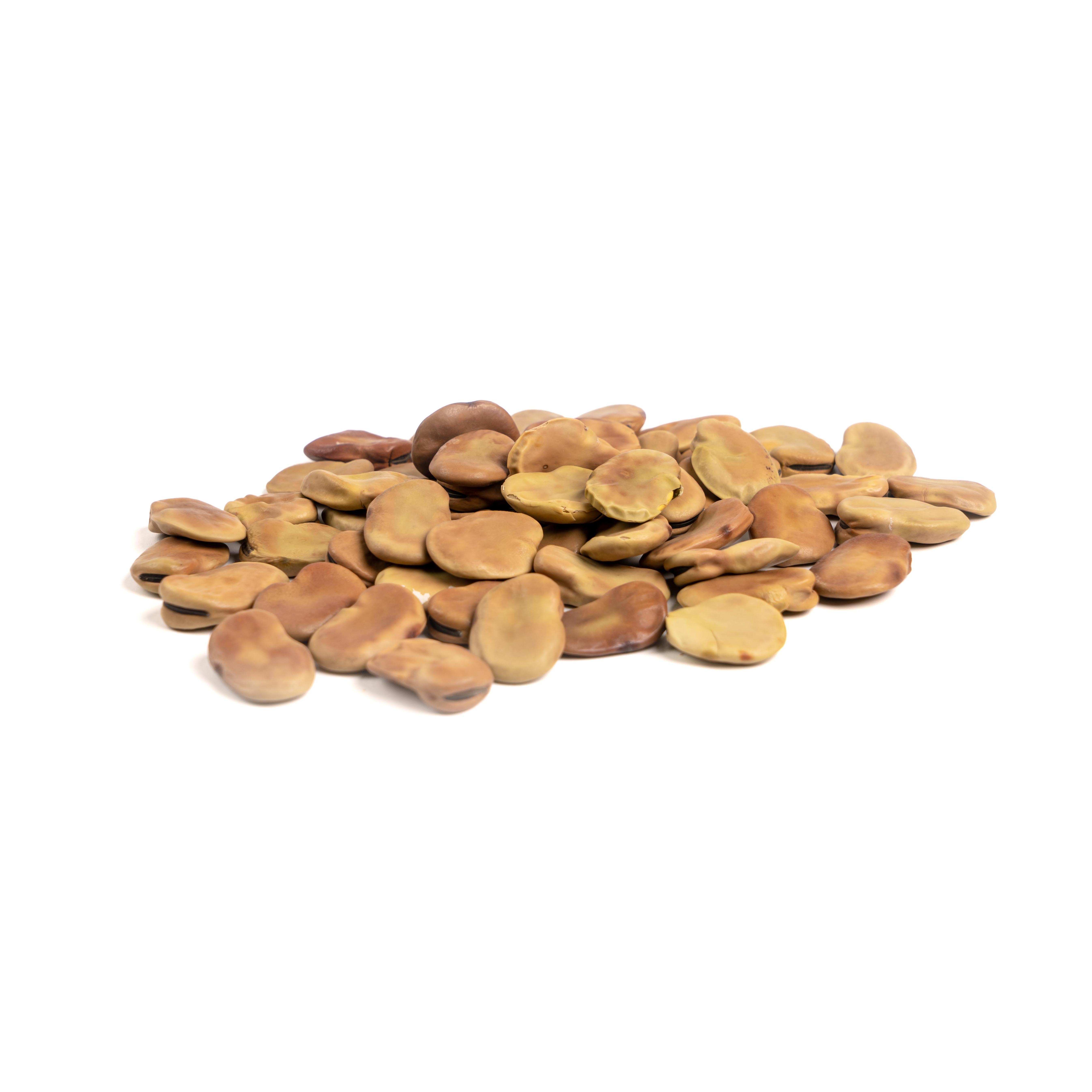 Beans Large