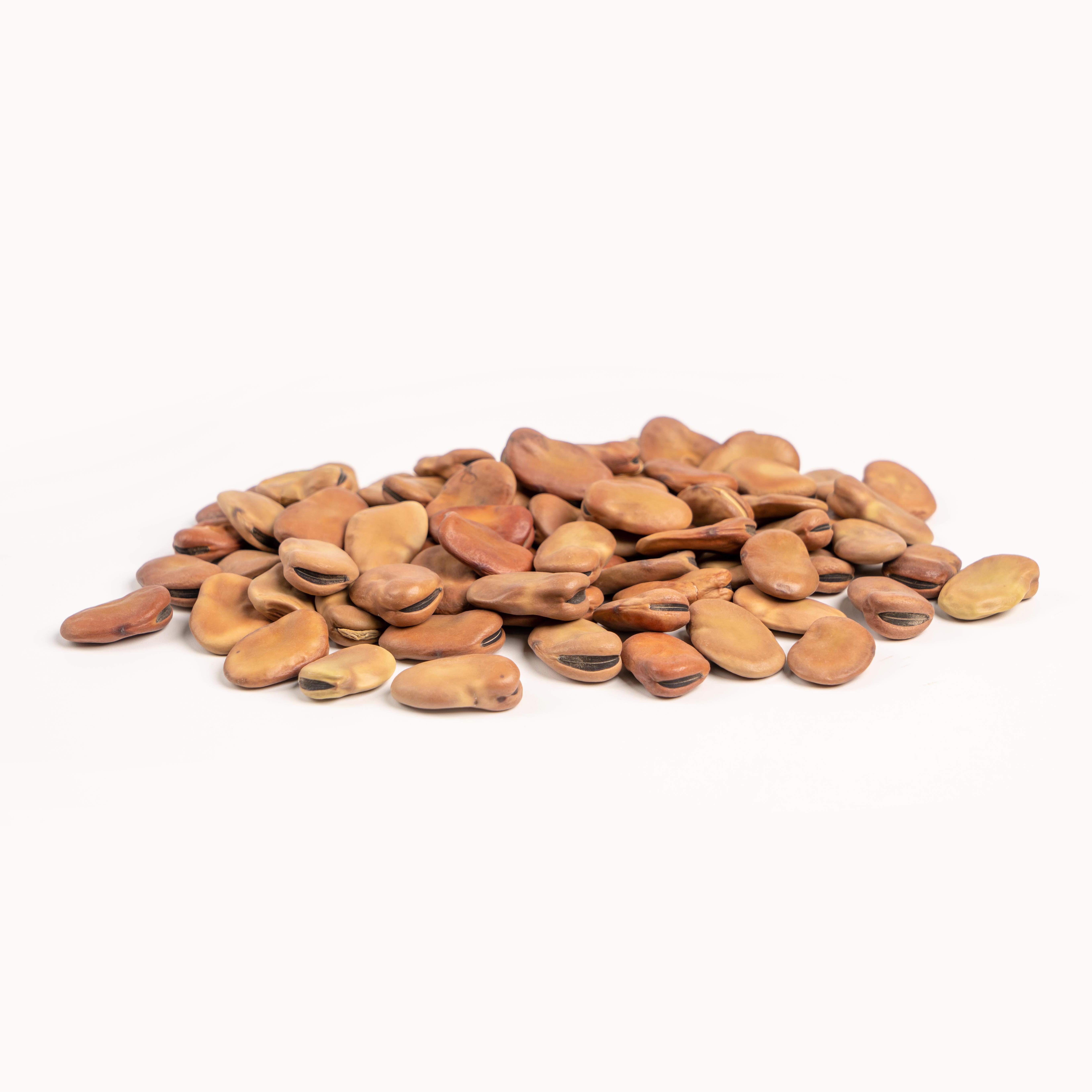 Beans Medium