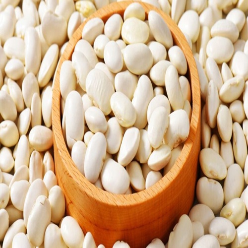 WHITE BEANS SYRIAN