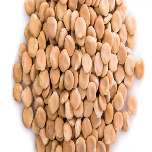 LUPIN BITTER
