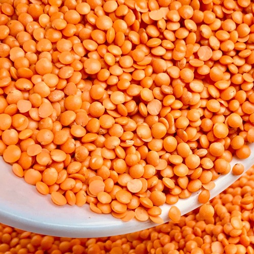 LENTILS RED