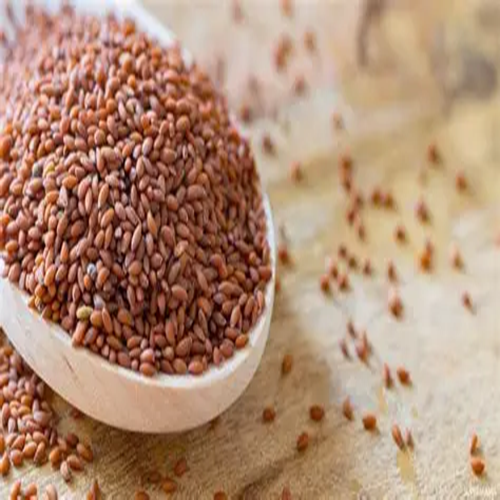 RACHAD SEED