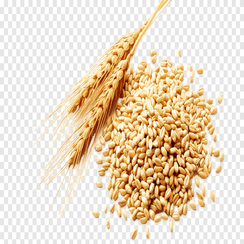 WHEAT WHOLE