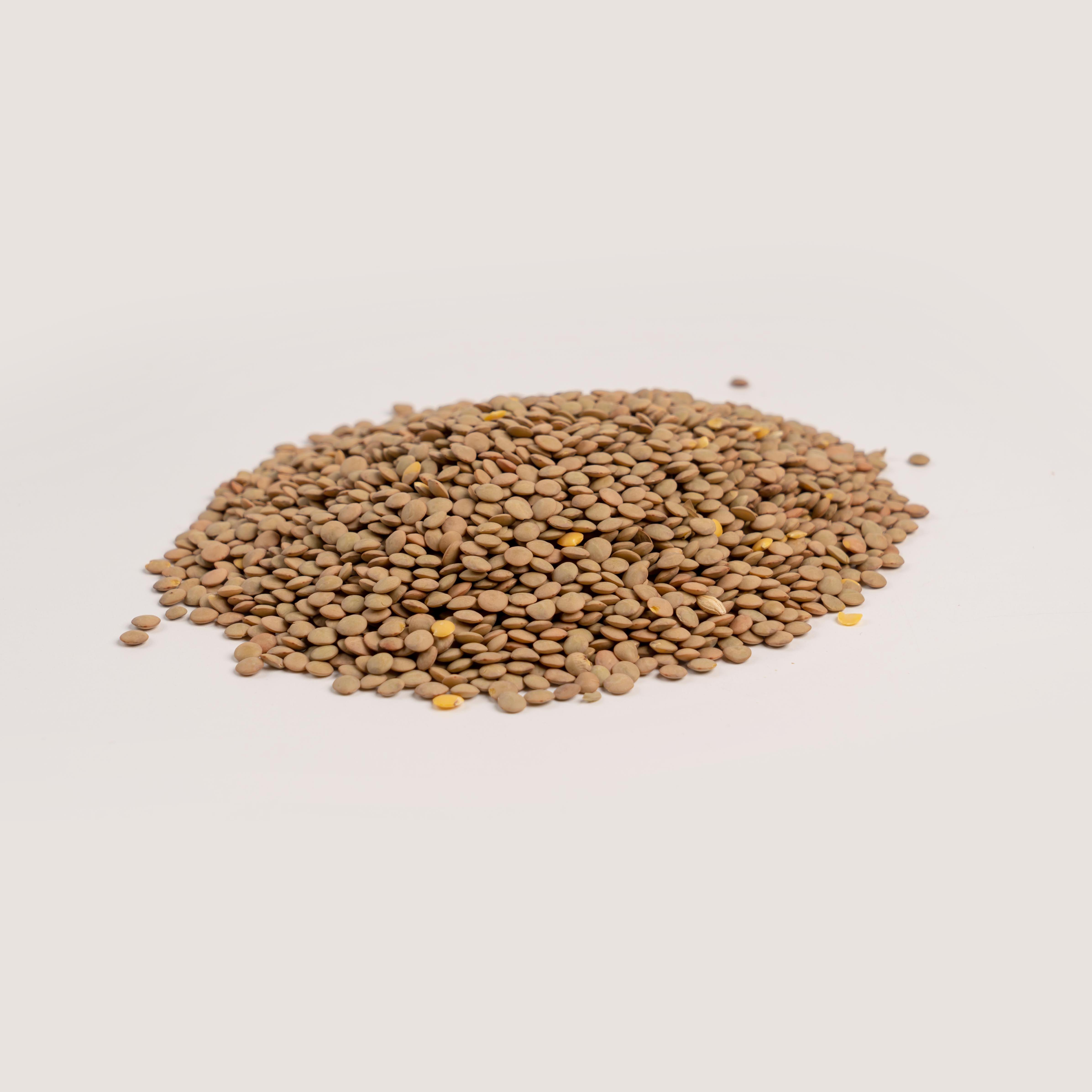 Green Lentils