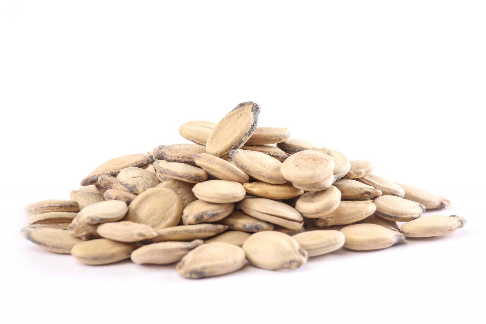 Palastinian Seeds