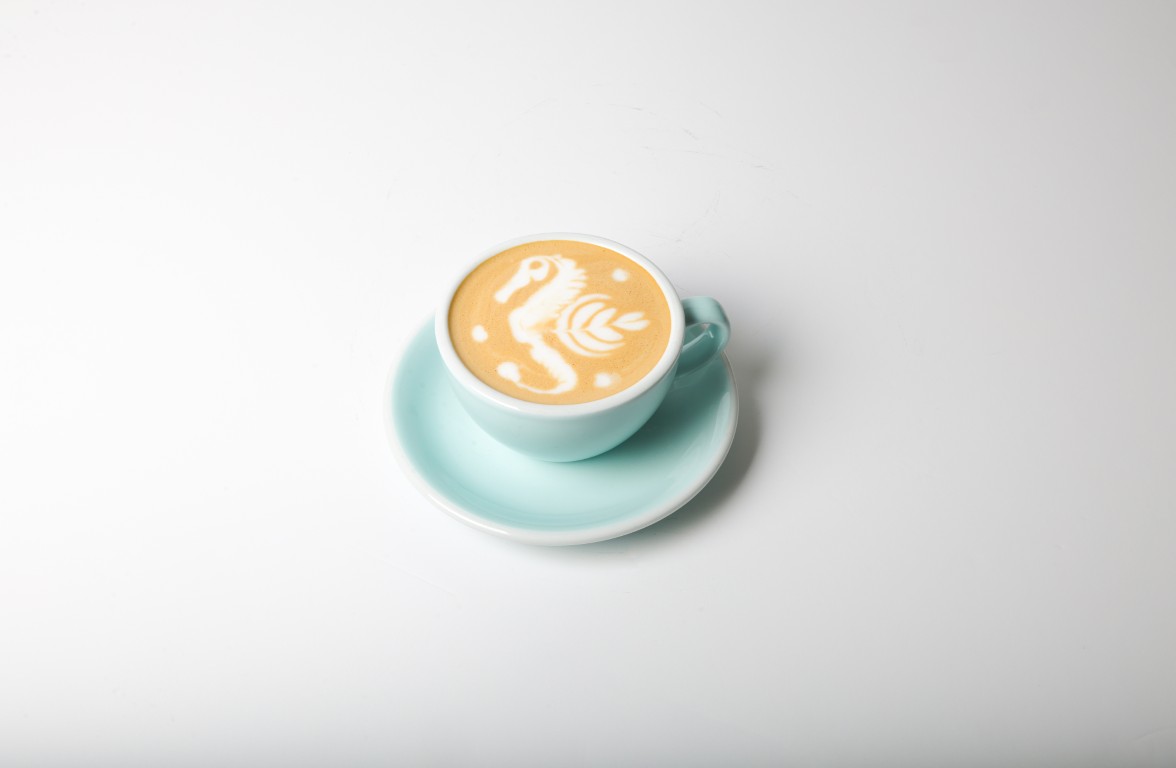 Hot & Cold Spanish Latte