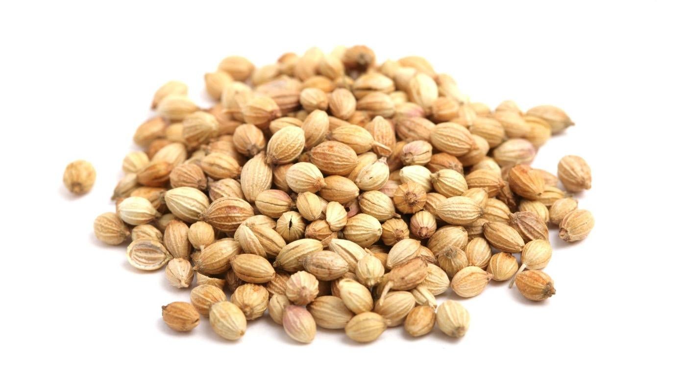 Coriander Majroush