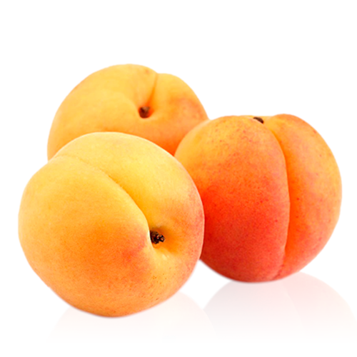 Apricot Sunrise