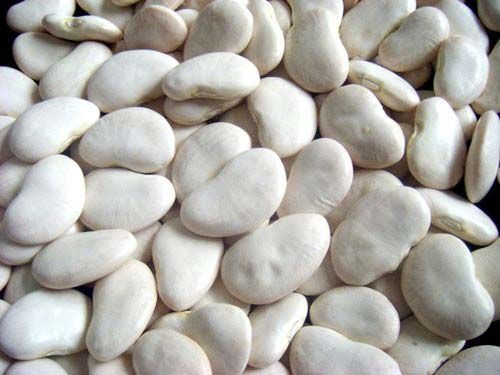 WHITE KIDNEY BEANS